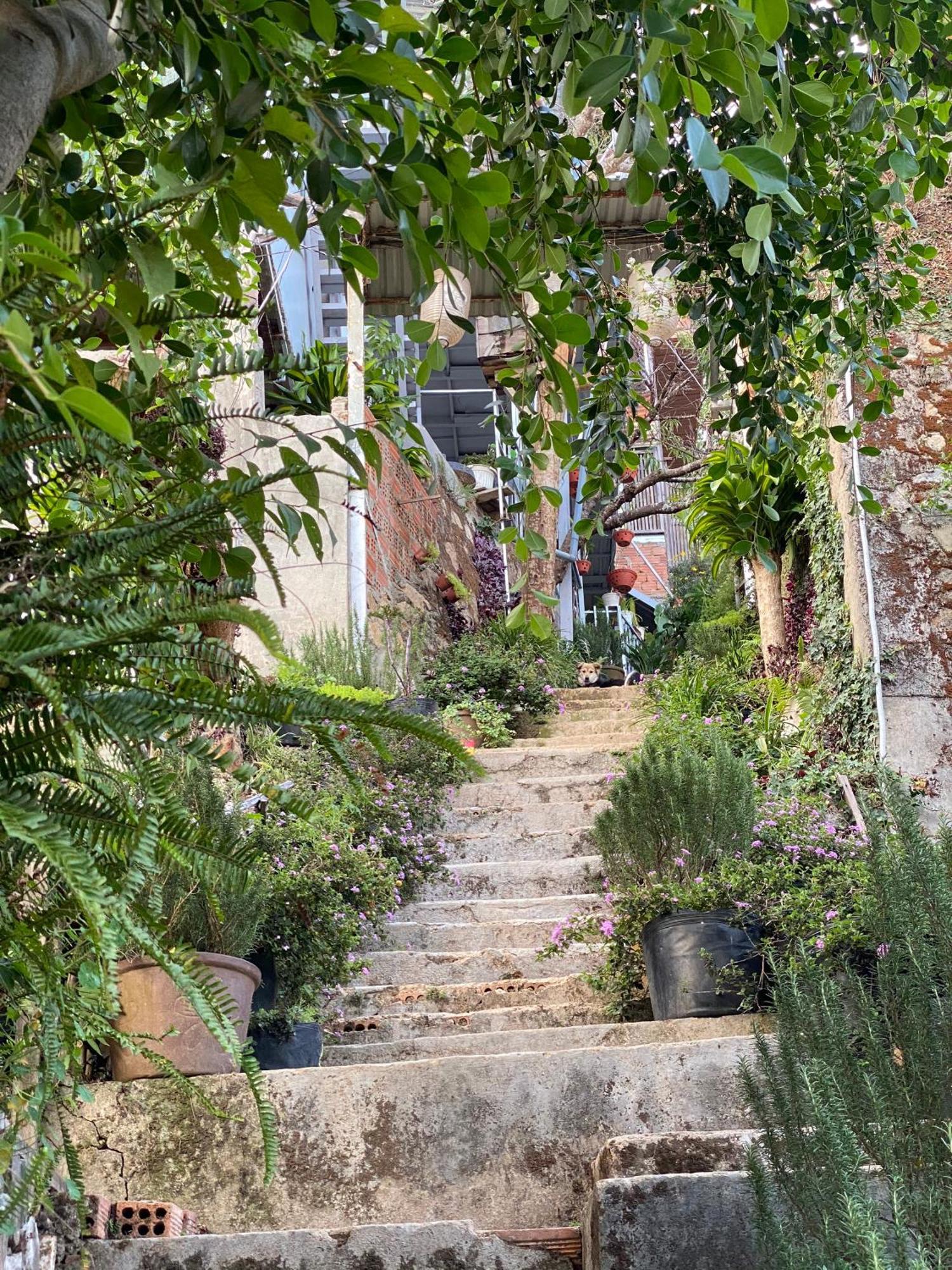 Dalat Memories Homestay - Pho Suong Mo דה לאט מראה חיצוני תמונה