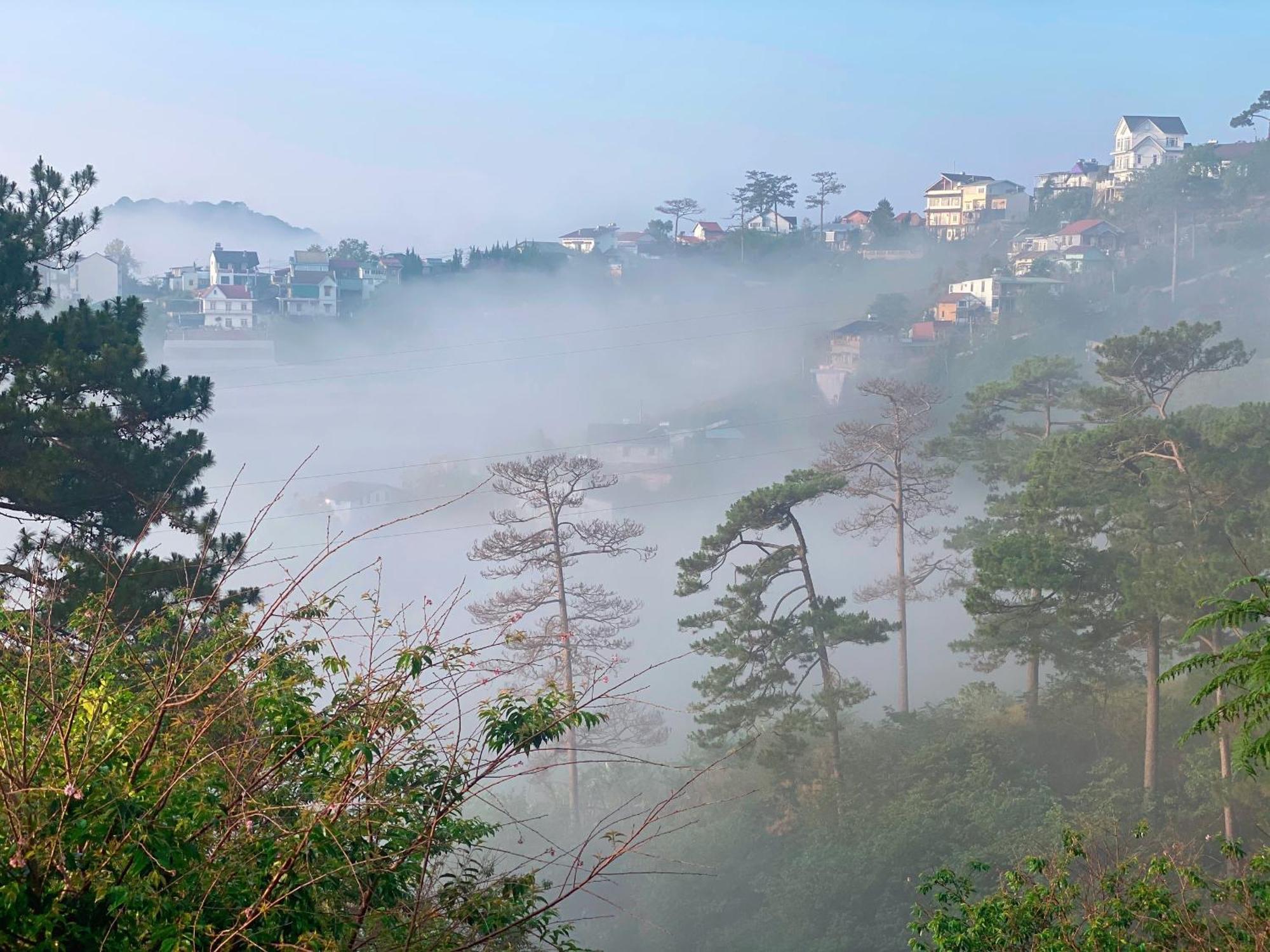 Dalat Memories Homestay - Pho Suong Mo דה לאט מראה חיצוני תמונה