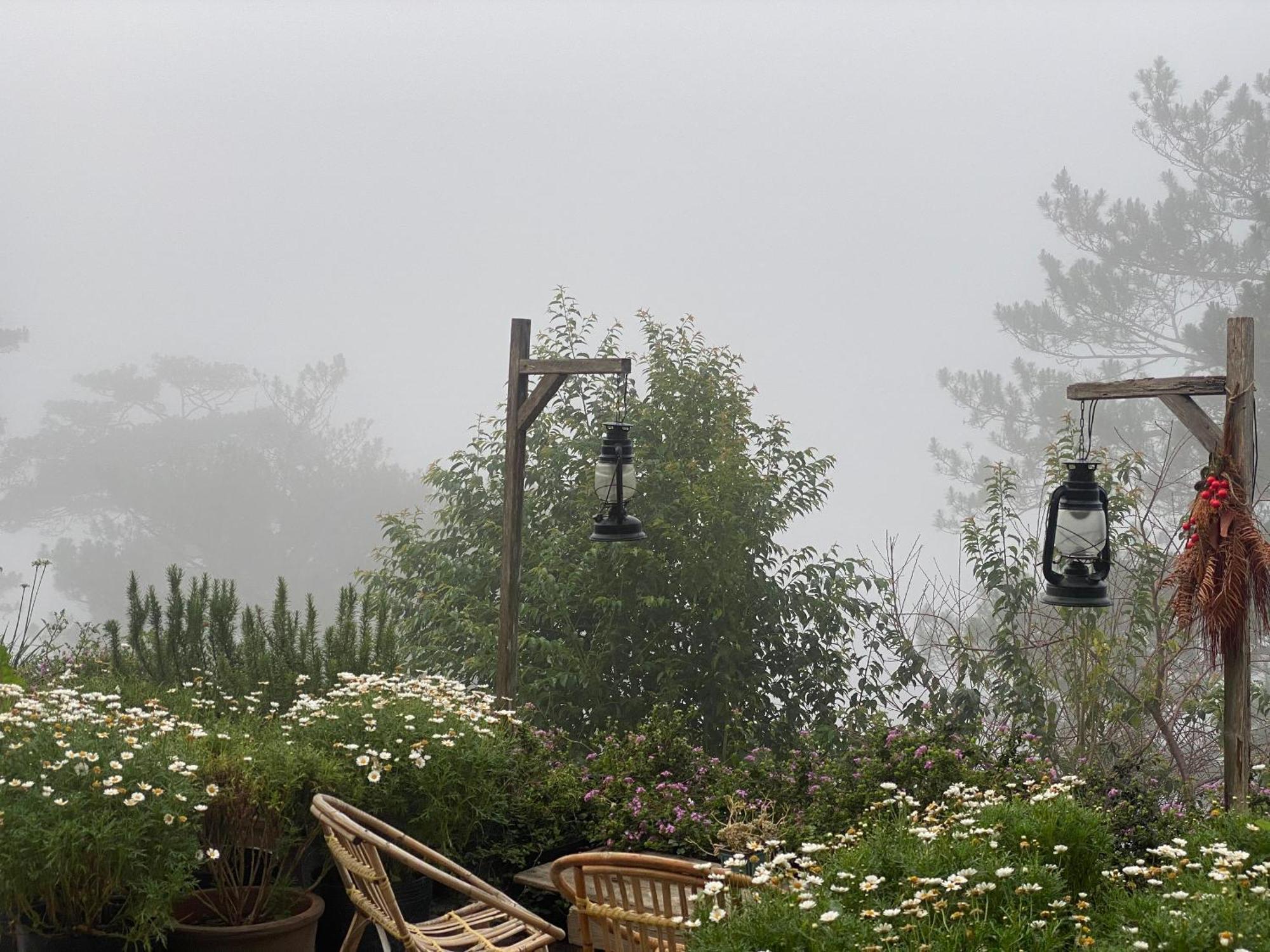 Dalat Memories Homestay - Pho Suong Mo דה לאט מראה חיצוני תמונה