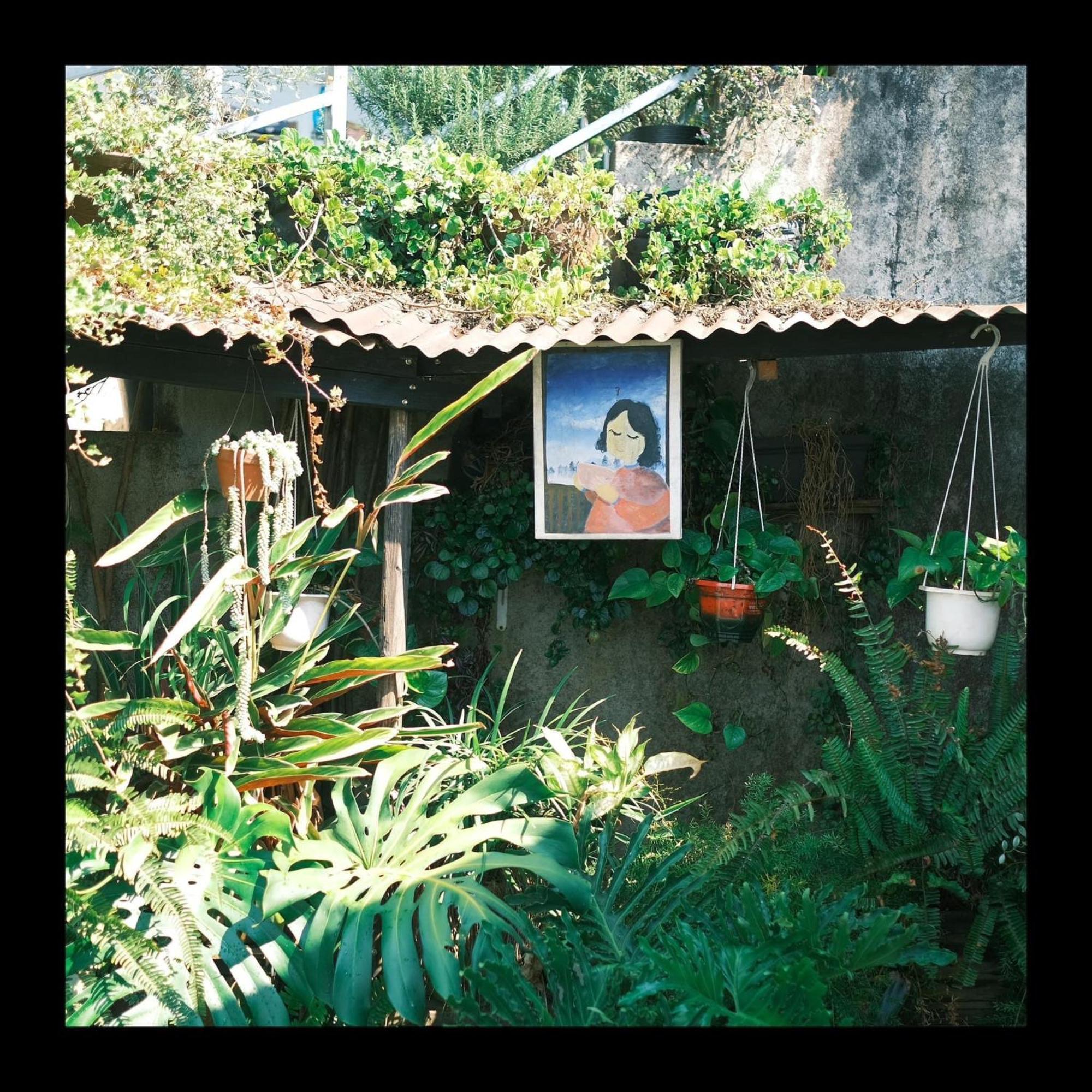 Dalat Memories Homestay - Pho Suong Mo דה לאט מראה חיצוני תמונה